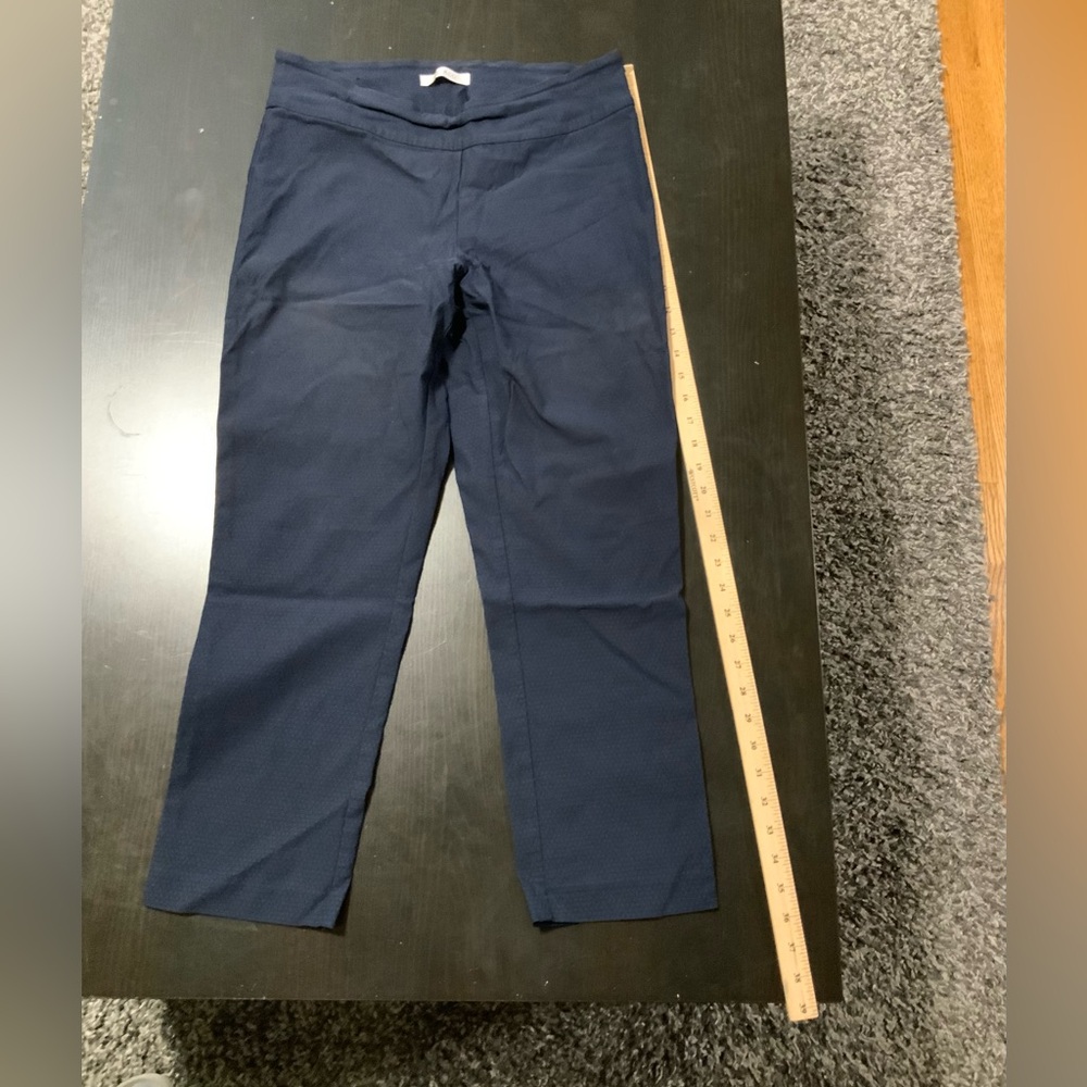 S.c. & CO stretchy Pants size 14 blue